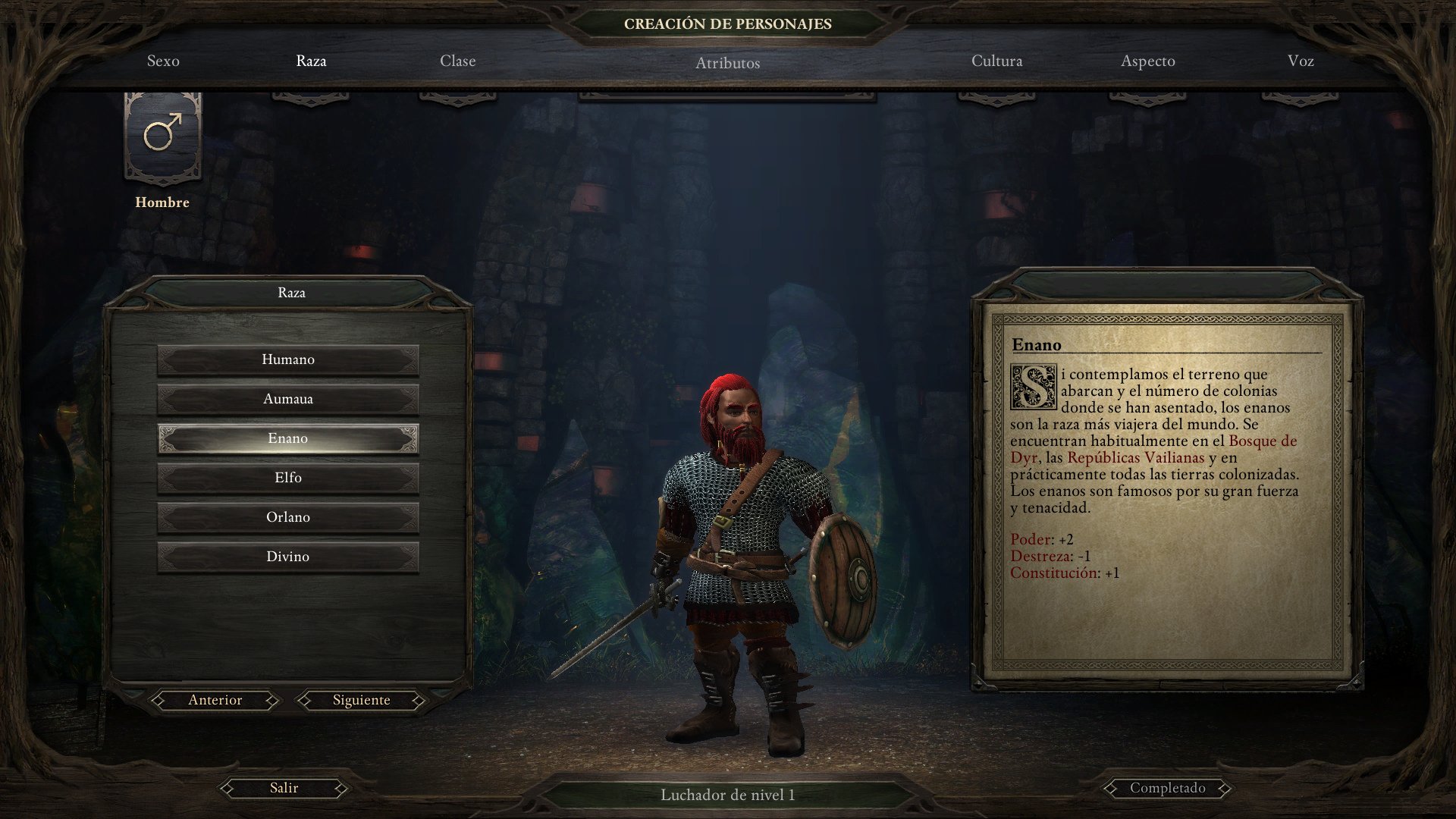 Pillars of Eternity: Complete Edition - Imagen 21